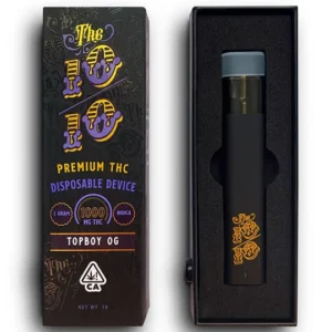 the 10/10 boys 2g disposable
